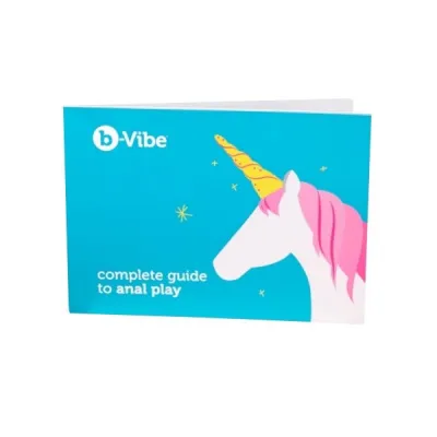 b Vibe Complete Guide to Anal Play Book