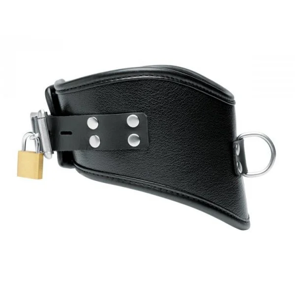 Isabella Sinclaire Posture Leather Collar With Leash