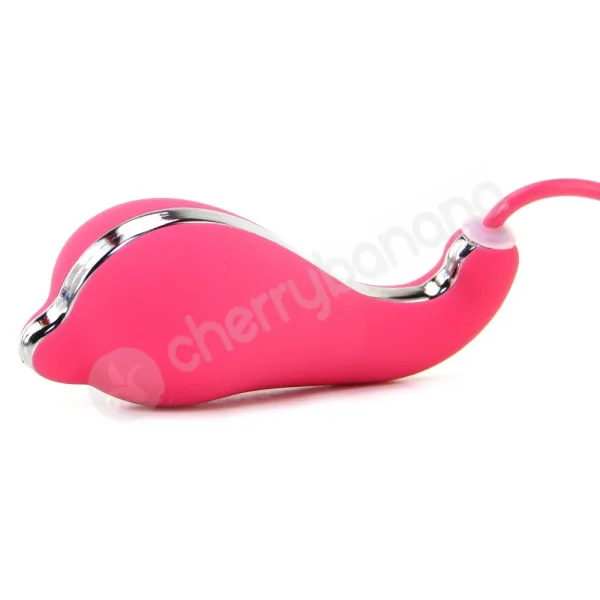 The Valentina Pink Dolphin Bullet Vibrator System