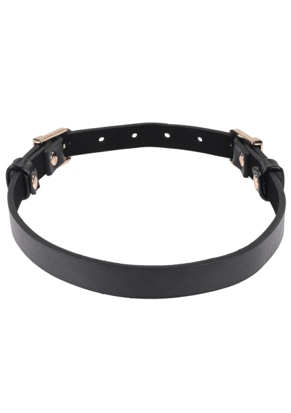 Sex & Mischief Double Buckle Day Collar By Sportsheets - Black & Gold