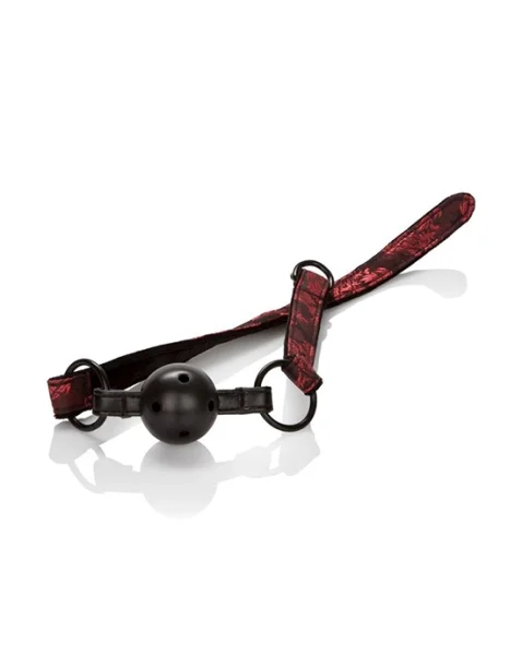 Scandal Bed Restraint Kit - Black/red