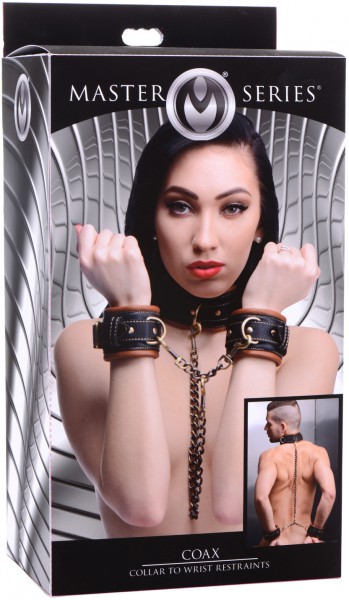 Coax Collar + Wrist Restraints