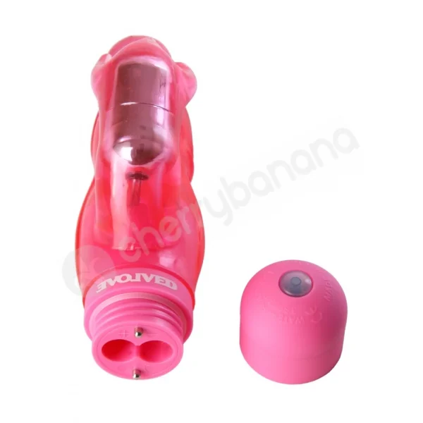 Short & Sweet Pink Spice Vibrator