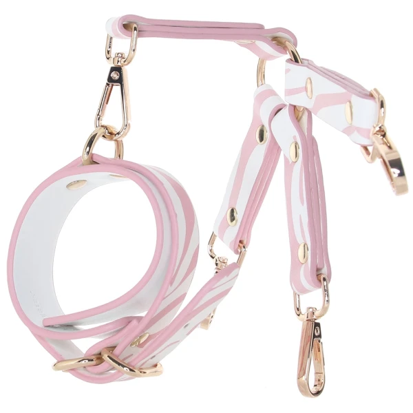 Pink Kitty Bondage Set