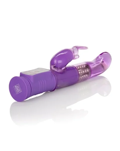 Shanes World Jack Rabbit G - Purple