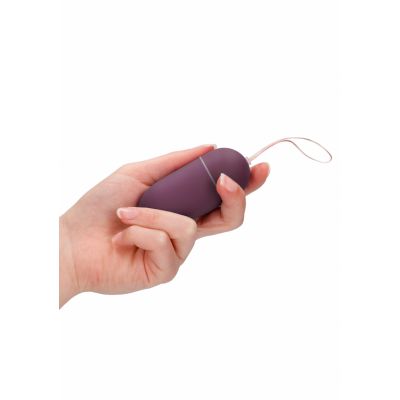 10 Speed Remote Vibrating Egg Big Purple Egg Sex Toy