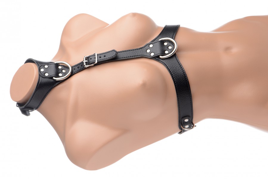 Female Chest Harness