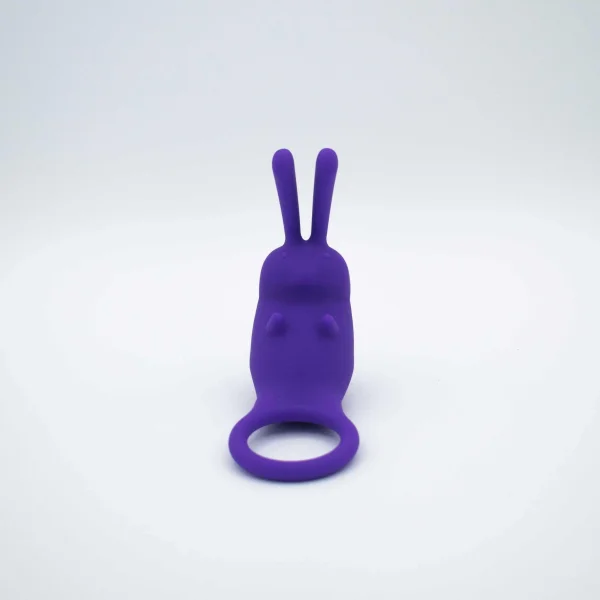 The Cock Hopper Cock Ring and Bullet Vibrator -  Purple