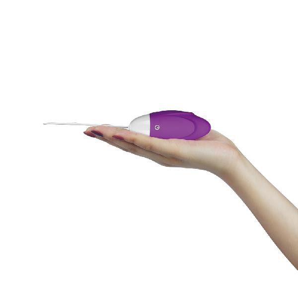 IJOY Wireless Remote Control Rechargeable Egg Purple
