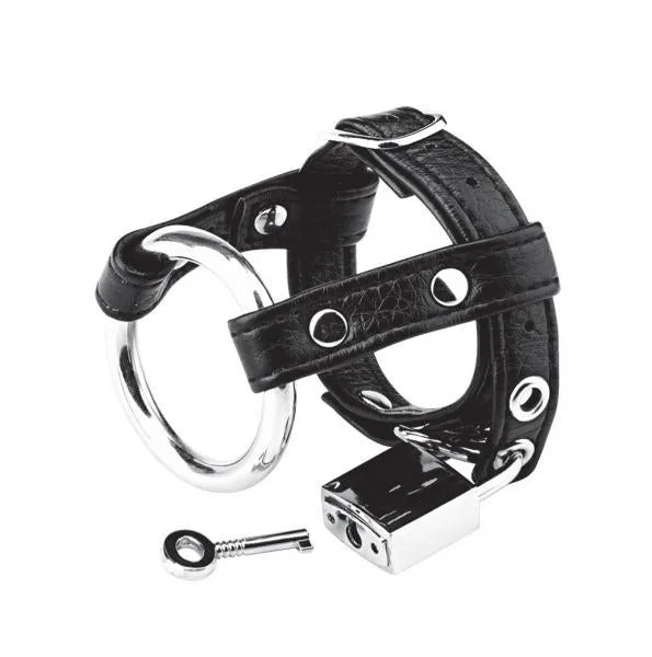 C & B Gear Duo Cock And Ball Lock Black