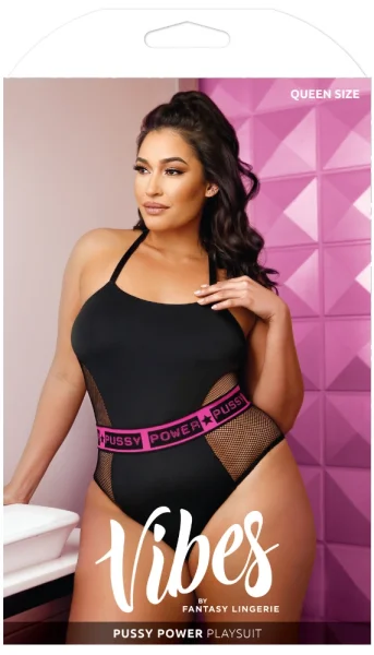 Fantasy Lingerie Pussy Power Mesh Paneled Playsuit