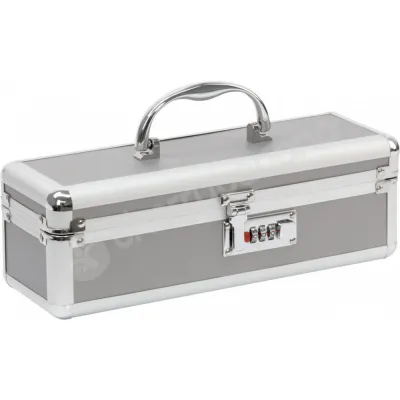 Lockable Medium Sex Toy Chest Box Silver
