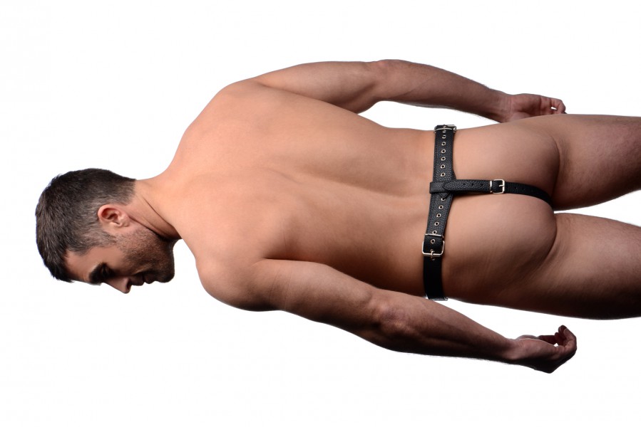 Male Chastity Harness