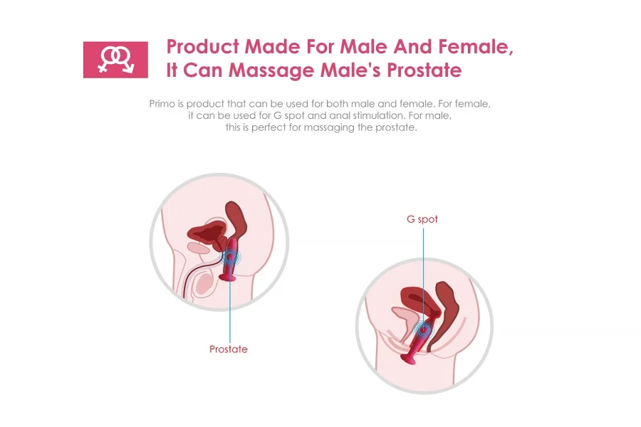 Svakom Primo Warming Anal Vibrator