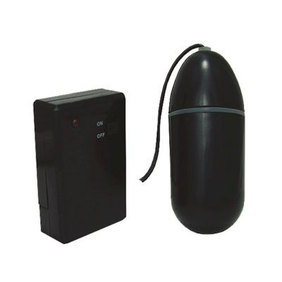 Waterproof Remote Control Bulletbk Black 3 25 Inches