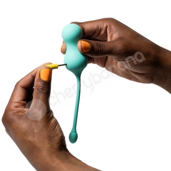 Romp Cello In Concert With You Vibrating Egg