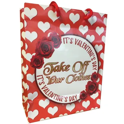 Take Off Your Clothes Gift Bag