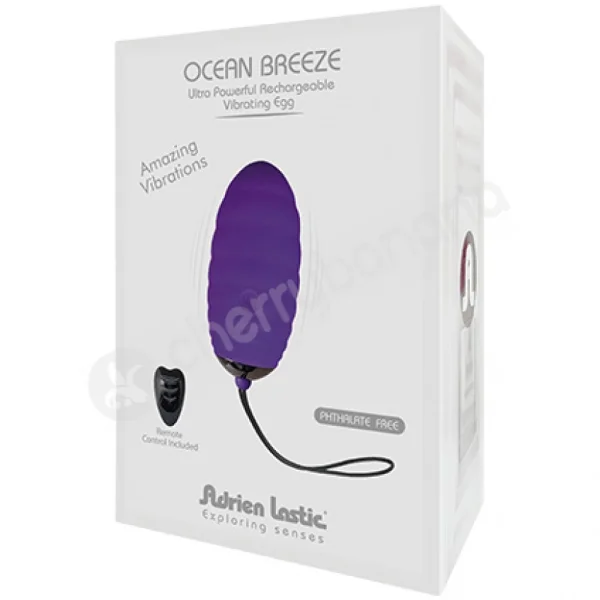 Adrien Lastic Ocean Breeze Purple 10 Speed Rechargeable Vibrating Egg