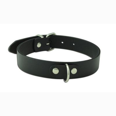 D Ring Collar