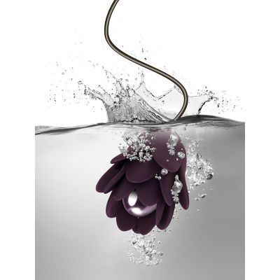 Zinnia Purple and Lilac