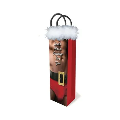 Santa Has A Big Package For You Gift Bag