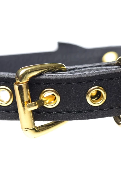 Master Series Golden Kitty Cat Bell Collar - Black & Gold