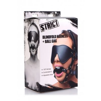 Eye Mask Harness with Ball Gag