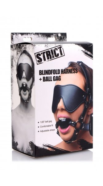 Eye Mask Harness with Ball Gag