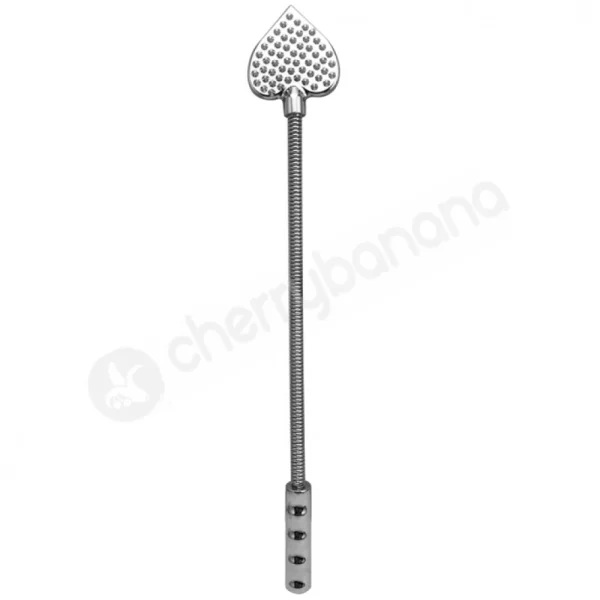 Sinister Stainless Steel Heart Studded Bondage Crop