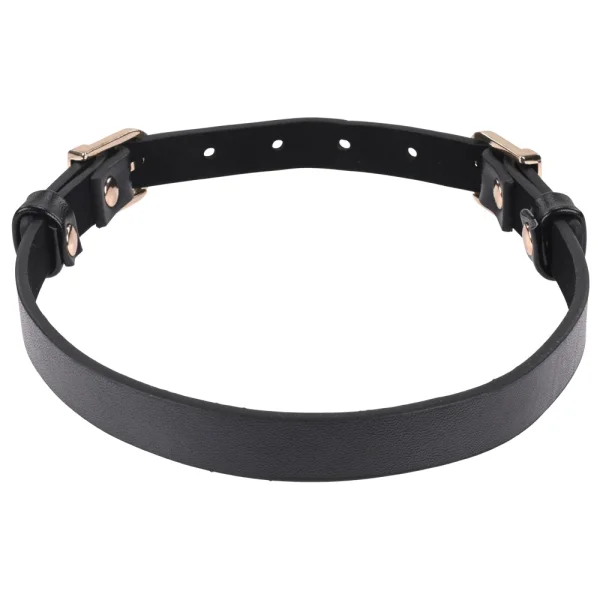 Sex & Mischief Double Buckle Day Collar By Sportsheets - Black & Gold