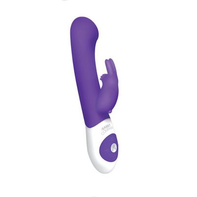 The G spot Rabbit Usb Rechargeable Purple