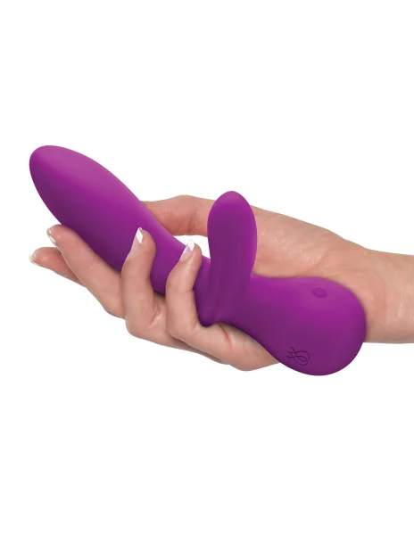 G Rabbit