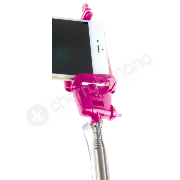 Bachelorette Party Favors Dicky Selfie Stick