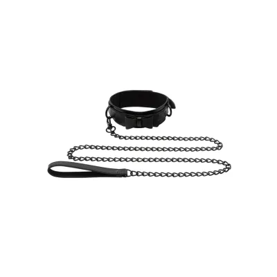 Bow Tie Collar and Leash