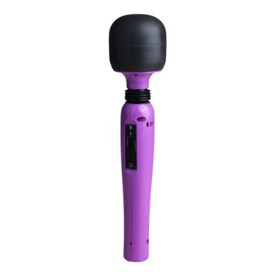 My Secret Love Passion Pointer