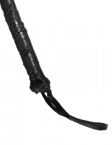 6Ft Whip