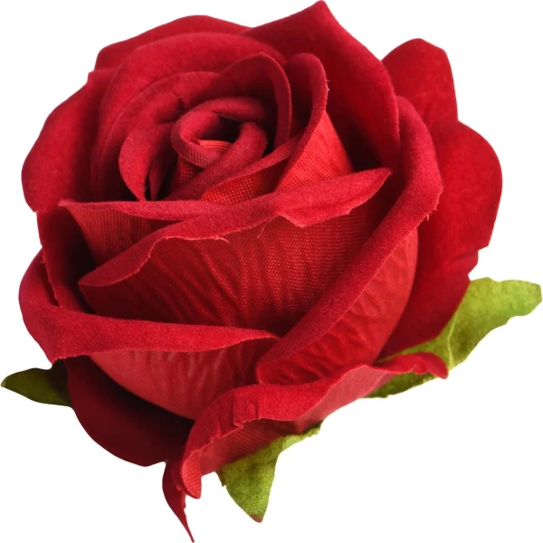 Bloomgasm The Rose Lovers Gift Box
