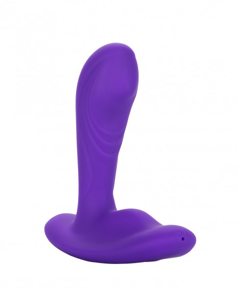 CalEx Remote Pinpoint Pleaser