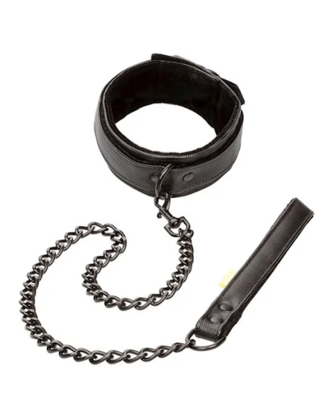 Boundless Collar and Leash