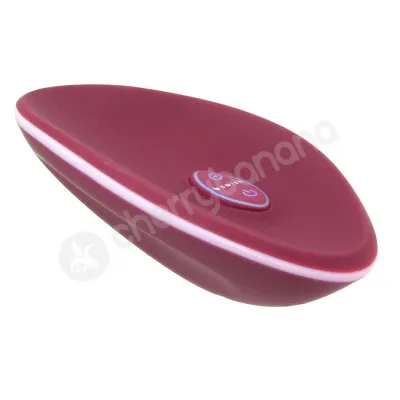 Bsoft Burgundy Rechargeable Massager