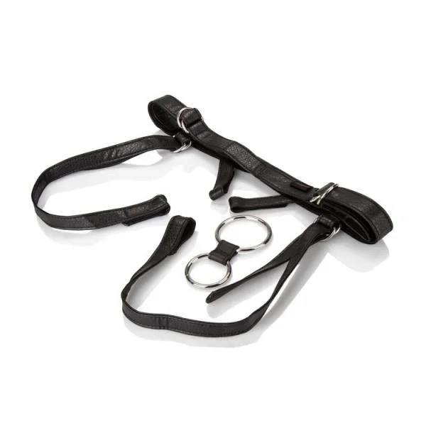 Her Royal Harness The Duchess Black Strap On