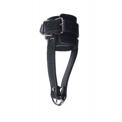 Ball Stretcher With Leash