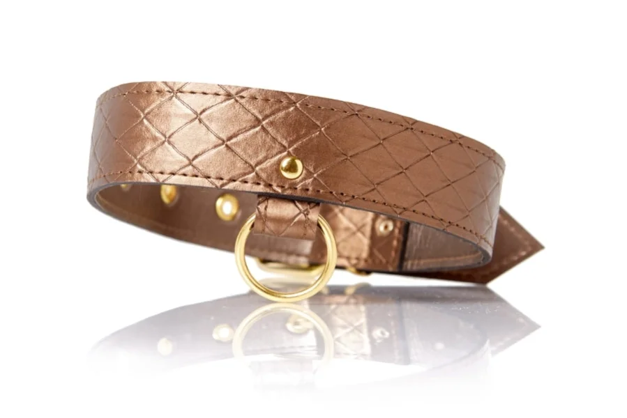 Allure Lingerie X-Play Darling Pet Collar with Leash (set) — image 2 of 5