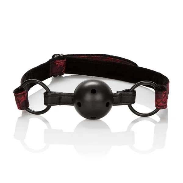 Scandal Bed Restraint Kit by CalExotics