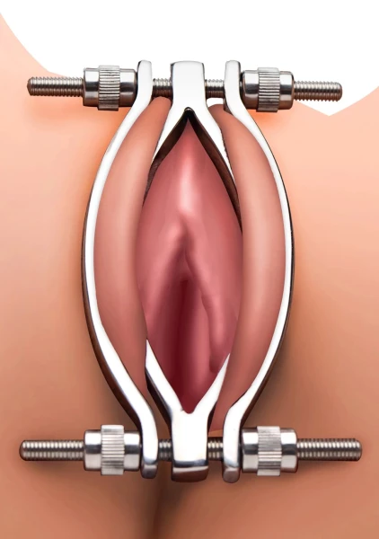 Stainless Steel Adjustable Pussy Clamp