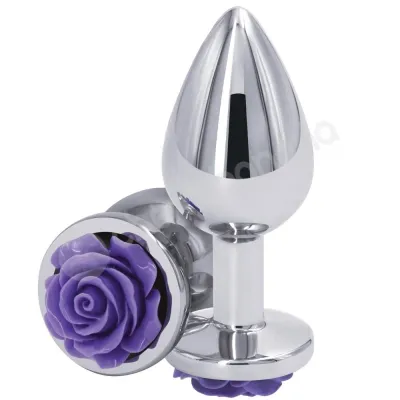 Rear Assets Medium Rose Purple Silver Butt Plug