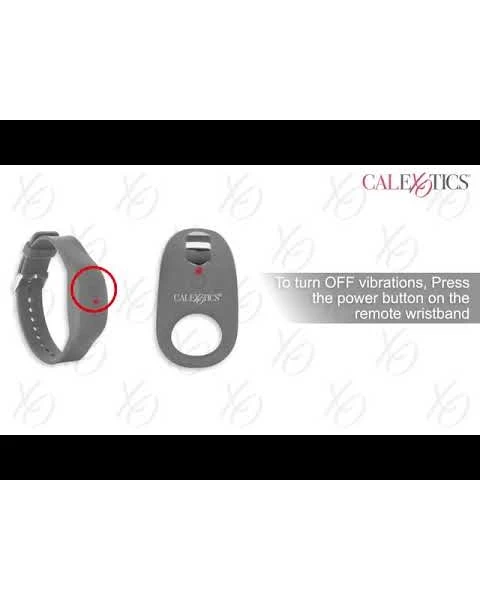 CalExotics Silicone Remote Adventure Set