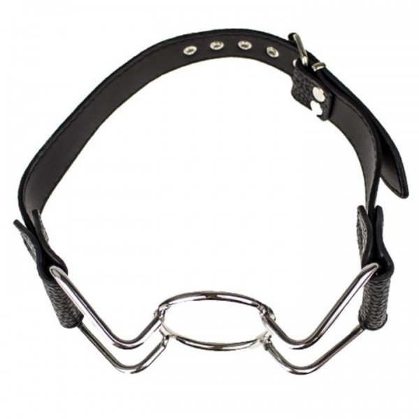Bondara Stainless Steel Spider Mouth Gag