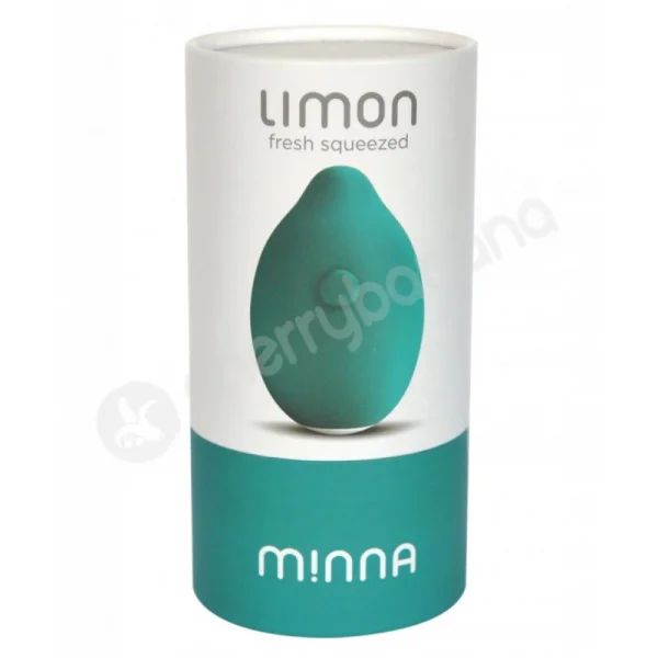 Limon Teal Rechargeable Vibrator
