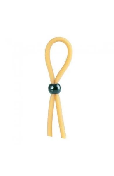 The Lasso